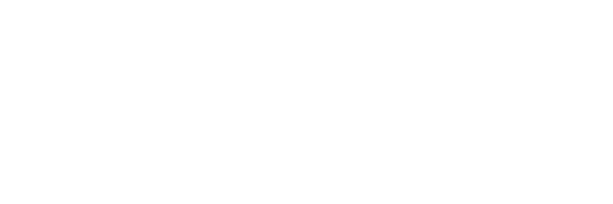 web soul technology logo
